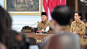 Bisa